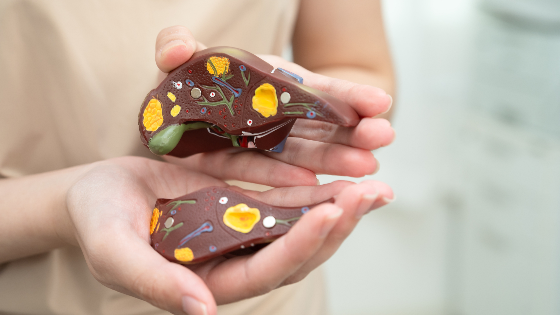 Could You Be One of the 1 in 3 Australians with Fatty Liver Disease?