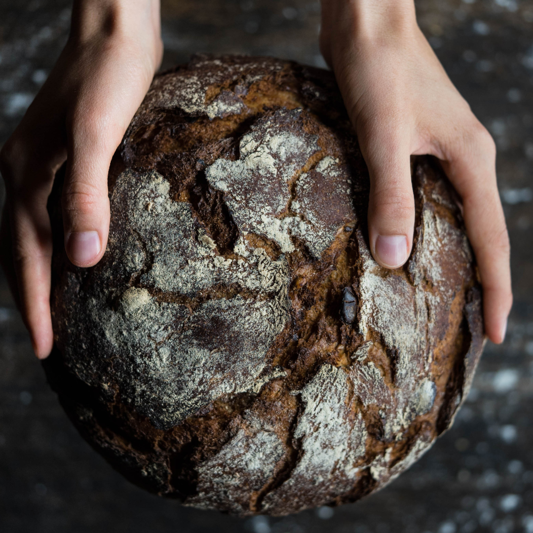 hands holding bread loaf